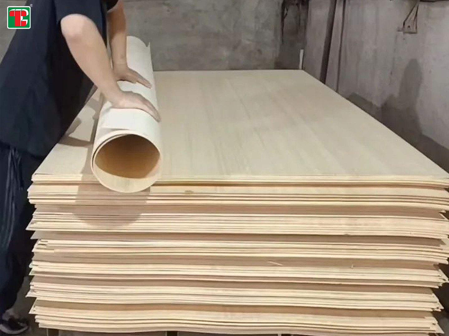 3mm plywood