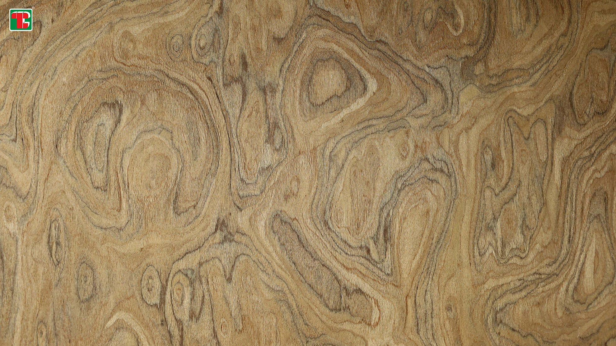 recon wood veneer